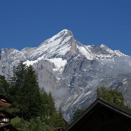 Apartment Baereggblick - Griwa Rent Ag Grindelwald Esterno foto