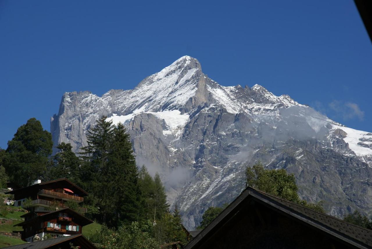 Apartment Baereggblick - Griwa Rent Ag Grindelwald Esterno foto